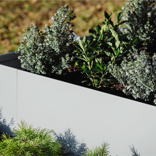 How to Choose the Right Garden Edging Colour for Your Landscape
