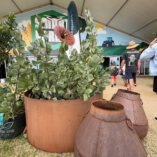 Building Firewise Gardens