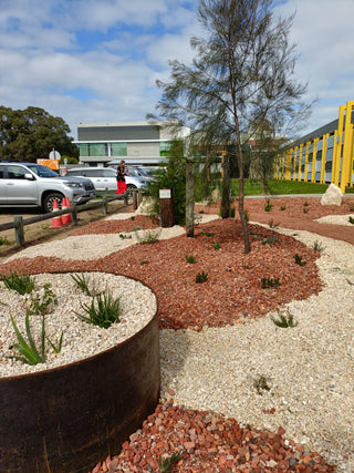 An outdoor landscaped garden bed with mulch, gravel, young trees, and a large round metal planter in the foreground. Cars and a building are visible in the background under a blue sky with clouds.