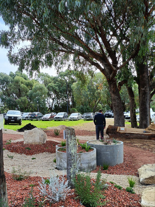 An outdoor landscaped garden area with red mulch, concrete planters, trees, rocks, and a person standing near the center-right. A row of parked cars is visible in the background under a partly cloudy sky.