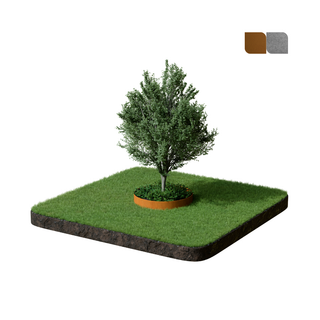 Formline Tree Ring - 150mm x 900mm